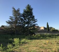 Terrain au moment de l'achat