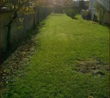 All&eacute;e donnant vers la maison