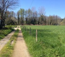 Un bout dut terrain du futur lotissement