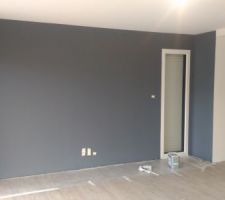 Mur salon.
Couleur gris zingué