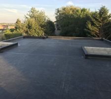 EPDM