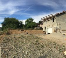 Mise à niveau des terres, Arbre enlevé