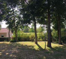 Vue vers l'ouest du terrain. Soleil de fin de journée. Prévoir une petite terrasse pour les apéros des soirs d'été :-)