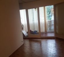 Salon existant + "chambre" derri&egrave;re la cloison