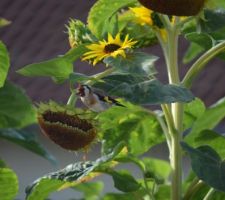 Nos invit&eacute;s du petit d&eacute;jeuner