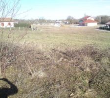 Vue du terrain : nord-est