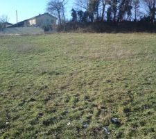 Vue du terrain :exposition ouest