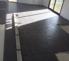 Carrelage pièce à vivre