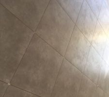 Carrelage pièce à vivre