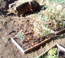 Le potager avec sur la gauche la souche d'un résineux victime de la tempête de février.