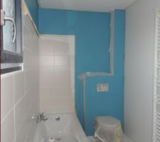 Salle de bain (Bleu Baltique 3 et Blanc Calcaire 5/Luxens)