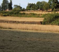 Vue du terrain du bas : le mur en pierres s&egrave;ches (h=2,10m) La futur maison sera sur le terrain du haut, entre le mur et la route.