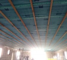 Plafond litell&eacute;