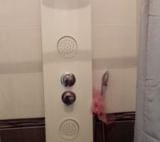 Colonne de douche hydromassante
