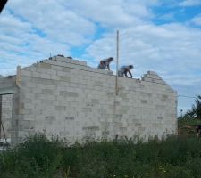 Dernier pignon en cours de construction et 1ere couche de goudron que j ai peins avec mon beau père.