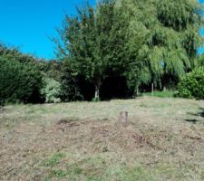 Quelques jours avant la négo pour le prix du terrain avec le propriétaire.
On peut voir les traces que les ronces ont laissées au sol.