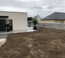 Remise à plat du terrain en cours et plantation de quelques arbres.