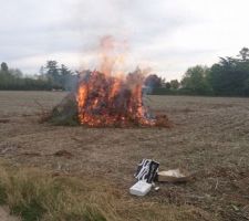 R&eacute;duction des branches