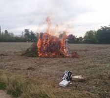 R&eacute;duction des branches