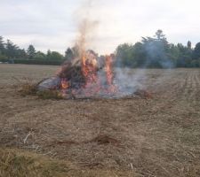 R&eacute;duction des branches