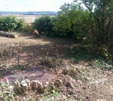 Regard Eau d&eacute;gag&eacute;