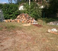 Bois récupéré pour séchage