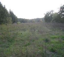 Vue vers le sud &agrave; l'emplacement futur de la maison