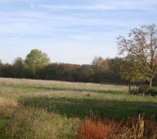 Le terrain non viabilis&eacute;