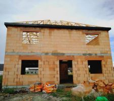 Charpente + cache moineaux