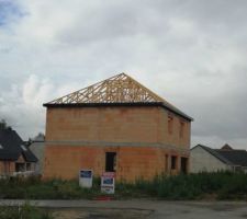 Charpente + cache moineaux