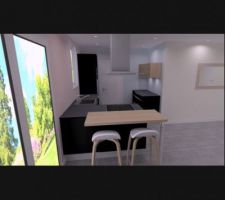 Vue 3D projet cuisine, il a changé un peu et n'est pas dans la bonne orientation ?