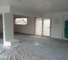 Peinture a l'airless ( finition impeccable et gros gain de temps )