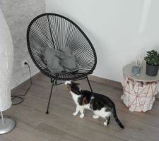 Lampe Ikea - Fauteuil et table d'appoint Maison du Monde