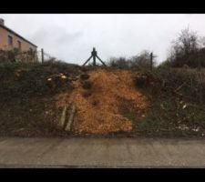 Le terrain en cours de débroussaillage/coupe des arbres...  Le talus était jonché de ronces et d'arbustes divers.