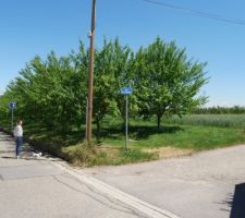 Le terrain est à l'angle d'une rue peu passante et donne sur des champs et vergers