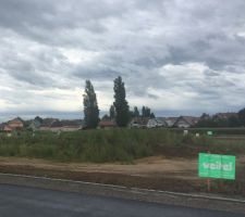 Vue large