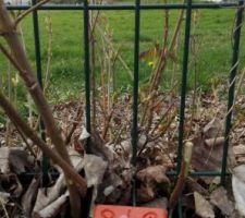 Bornage OK ! Pas besoin de grand chose pour &ecirc;tre heureux !!