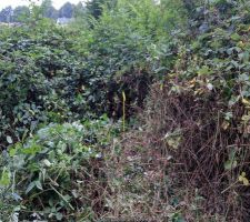 A la recherche des bornes ...