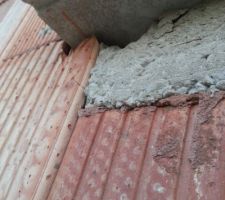 Les derni&egrave;res rang&eacute;s en dessous  des appuis  les briques sont diff&eacute;rentes, pourquoi?