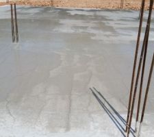 Fissures de retrait