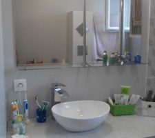 Vasque à poser et mitigeur cascade installés