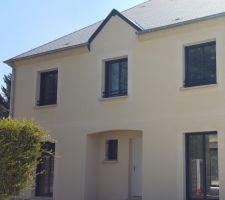 Seules la porte est blanche et toutes les autres menuiseries sont grises.
Impossible d'obtenir une porte de la même couleur des menuiseries avec MP !!