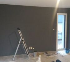 2eme couche peinture gris zingue dans le salon