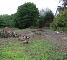 Le calme apr&egrave;s la temp&ecirc;te de d&eacute;frichage et avant le terrassement.