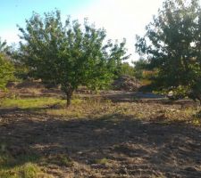 Viabilisation du terrain