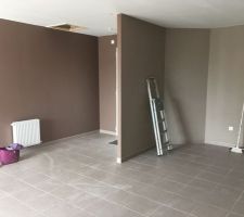 Peinture marron clair paillette c&ocirc;t&eacute; salon