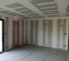 Salon vu sur le mur bibliotheque/télé