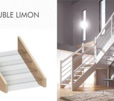 Structure double limon d'escalier Flin