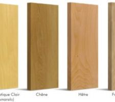 Essences de bois escaliers Flin