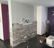 Modif salon pierre de parrement